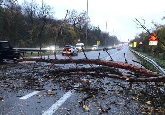 Архївне фото