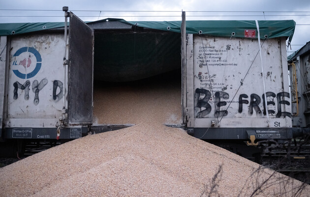 Українське зерно, висипане з вагонів польськими протестувальниками