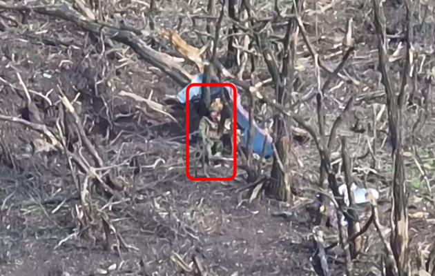 Ювелирная точность: украинский дрон попал прямо в голову россиянину, который прятался в посадке