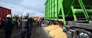 Нет никаких доказательств того, что фермеры ЕС страдают от конкуренции со стороны Украины — Politico
