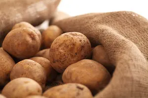 Ціни на овочі: в Україні подешевшала картопля
