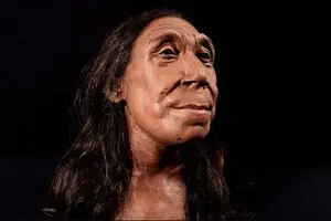 Вчені відтворили зовнішність неандертальської жінки, яка жила 75 тисяч років тому
