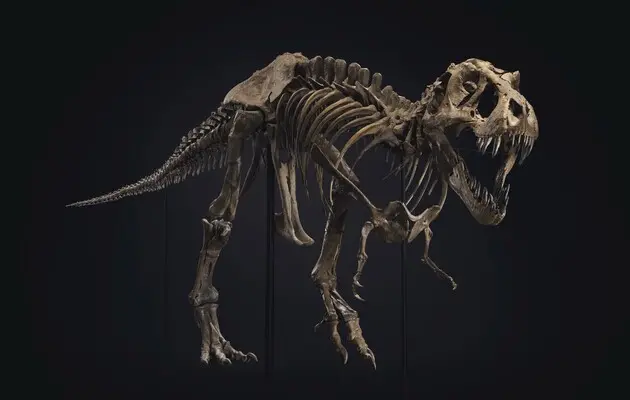 Тиранозаври були не такими вже й розумними