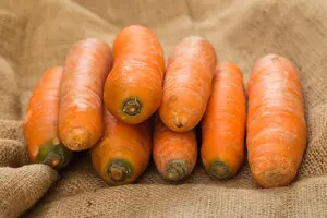 В Україні підвищилась ціна на торішню моркву