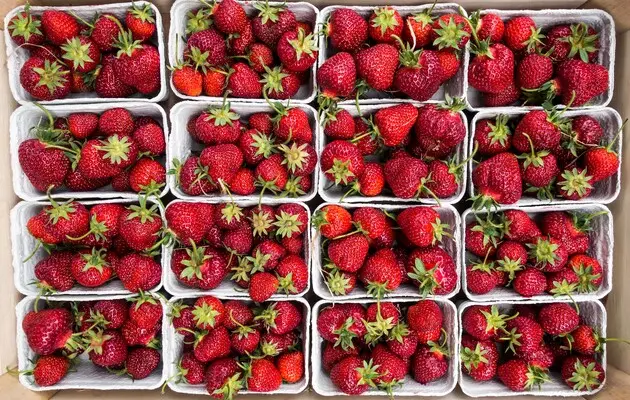 Ціни на полуницю різко впали: скільки коштує ягода в Україні