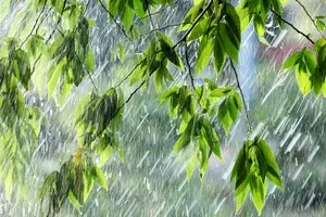 Местами дожди и заморозки: синоптик дала прогноз на выходные