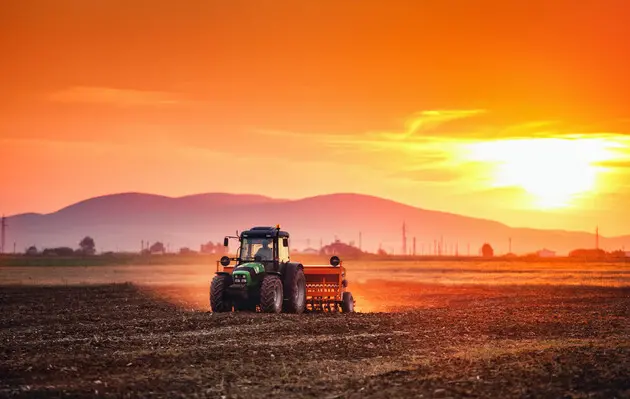 В Украине сократится урожай зерновых - USDA