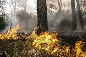 Бои за Волчанск – пять-семь бомб каждые три минуты