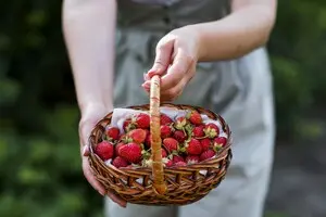 Цены на ягоды: в Украине подорожала клубника