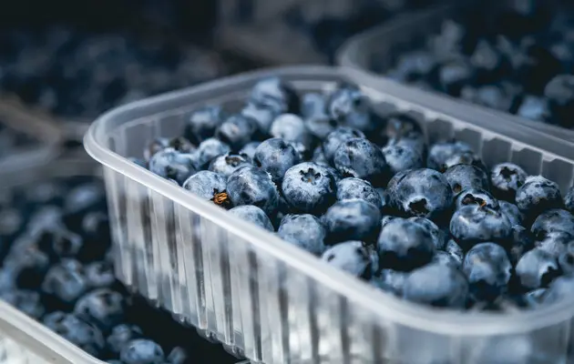 Травневі заморозки: як вони можуть вплинути на врожай малини та лохини