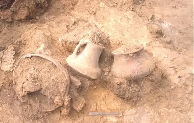На доисторической стоянке нашли следы древнейшего вина в Европе