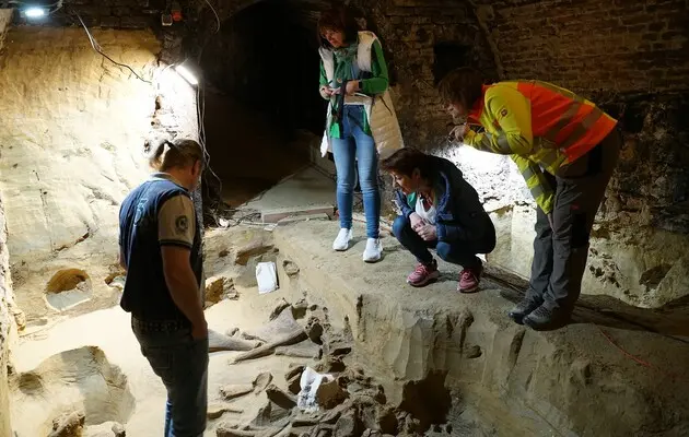Під підлогою винного погреба в Австрії знайшли склад кісток мамонта