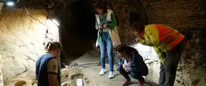 Под полом винного погреба в Австрии нашли склад костей мамонта
