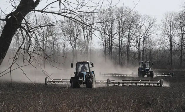 В Україні завершується весняна кампанія у аграріїв: скільки ярих зернових та зернобобових культур посіяли