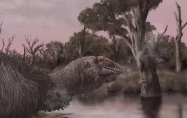 Палеонтологи знайшли в Австралії останки стародавнього «гігагуся»