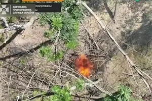 ВСУ уничтожили склад российских военных в Серебрянском лесу