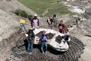 Сім'я туристів випадково виявила унікальні останки динозавра