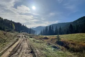 Бізнес просить Зеленського ветувати закон про продовження терміну оформлення паїв