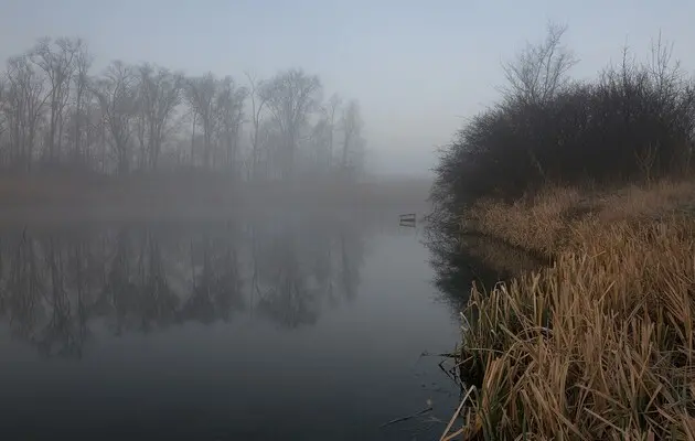 В Украине мелеют реки: в Минэкологии назвали причины