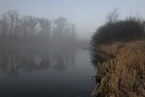 В Україні міліють річки: в Мінекології назвали причини 
