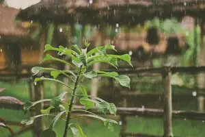 Грозовые дожди: синоптик предупредил, где их ждать