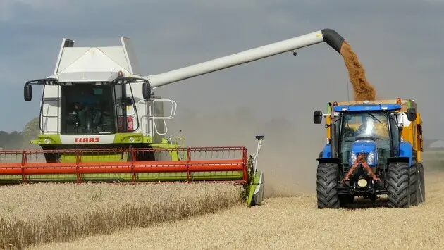 В Україні почався збір нового врожаю зернових