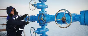 Польская Orlen предупредила три страны, что может арестовать деньги от российского газа - Reuters