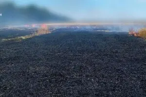 На Одещині через ракетний удар загорілось поле із пшеницею