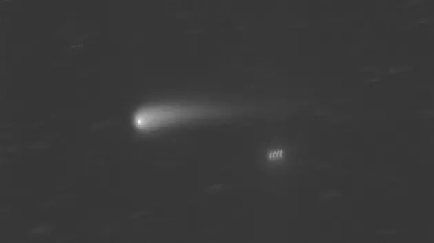 Зрелища не будет: самая яркая комета этого года может распасться по мере приближения к Земле