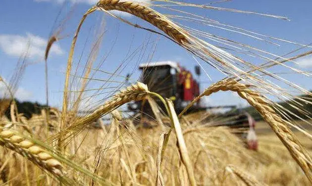Жара повлияет на урожай и цены аграрной продукции - прогноз