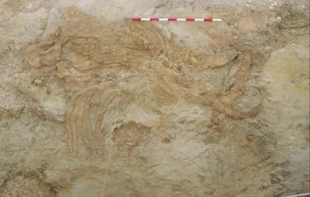 Використовували сипучі піски: вчені з'ясували, як предки людини полювали на мамонтів