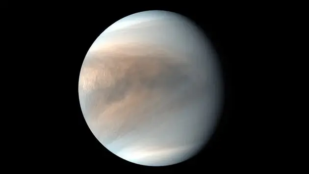 Сліди двох газів у атмосфері Венери можуть вказувати на присутність життя – вчені