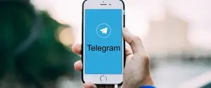 Украинские Telegram-каналы подверглись массовой атаке — Госспецсвязи