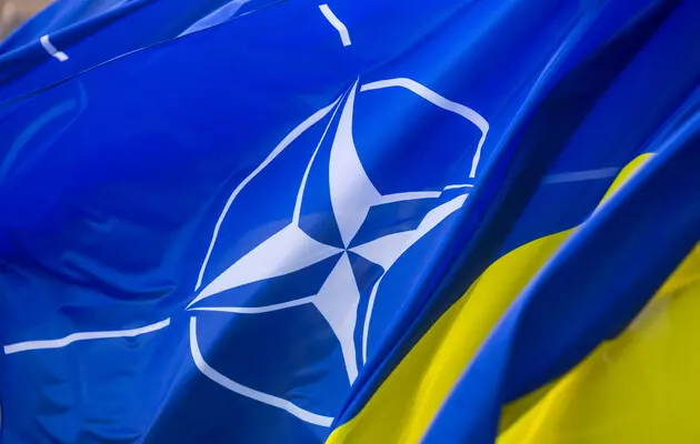 Почти 20% украинцев опасаются, что без НАТО Украина превратится в серую зону между РФ и Западом – исследование ZN.UA