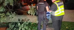 У столичному парку вітер повалив дерево на відвідувачів: загинула 1 людина, трьох госпіталізовано