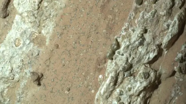 Perseverance знайшов на Марсі можливі сліди життя
