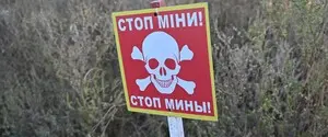 В Украину из Японии прибыли машины для разминирования