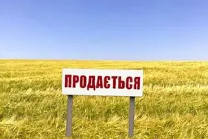 Влада маніпулює статистикою, в той час як агрохолдингам належить 60–70% землі — експерт