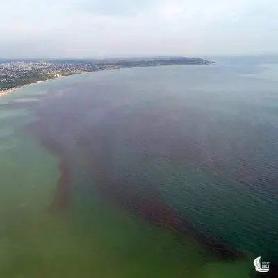 Море навколо Одеси стало червоно-буро-зеленим – біолог пояснив це явище