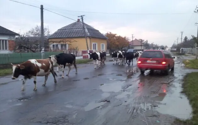 Село и люди. Что должно сделать государство, чтобы спасти сельские громады от исчезновения