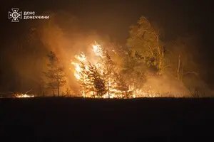 У Лиманському лісництві внаслідок обстрілів РФ спалахнула пожежа на 240 га