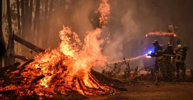 Португалия в огне: масштабные пожары трудно потушить из-за ветра и жары, есть погибшие и раненые