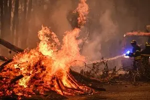 Португалія у вогні: масштабні пожежі важко загасити через вітер і спеку, є загиблі та поранені 