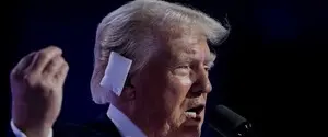 Зеленський дуже хоче, аби перемогла Гарріс — Трамп