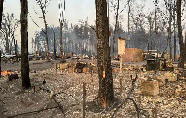 На Харьковщине из-за лесного пожара сгорело целое село, четыре человека погибли