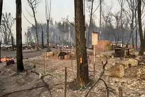 На Харьковщине из-за лесного пожара сгорело целое село, четыре человека погибли