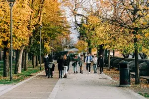 Найтепліший вересень: в Укргідрометцентрі розповіли про температурні рекорди