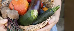 Цены на продукты в Украине: эксперты не прогнозируют улучшения