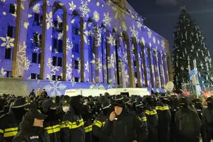 В Грузии не смогли зажечь новогоднюю елку - власти обвинили протестующих