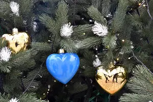 Стоимость новогодней елки в Украине отличается между регионами в 10 раз, самые дорогие деревья на Закарпатье